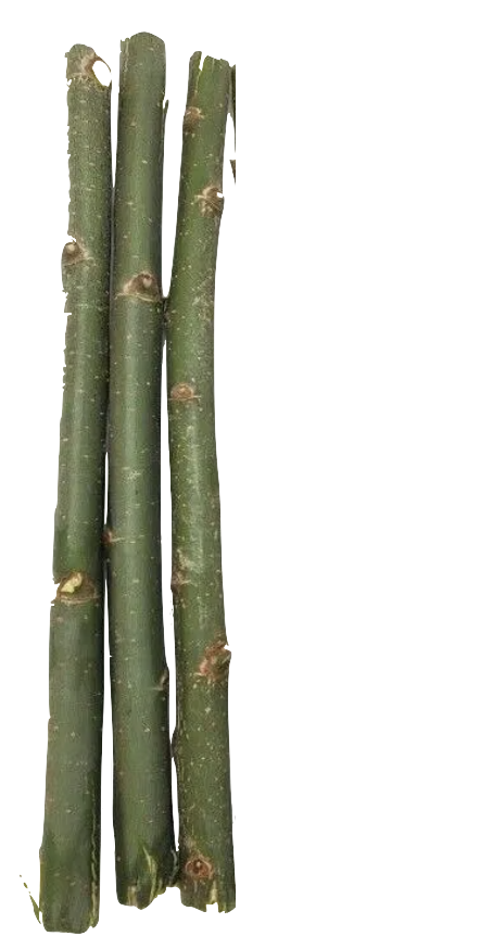 Willow Stakes Bundle 2 inch Willow Stakes Bundle 2 inch